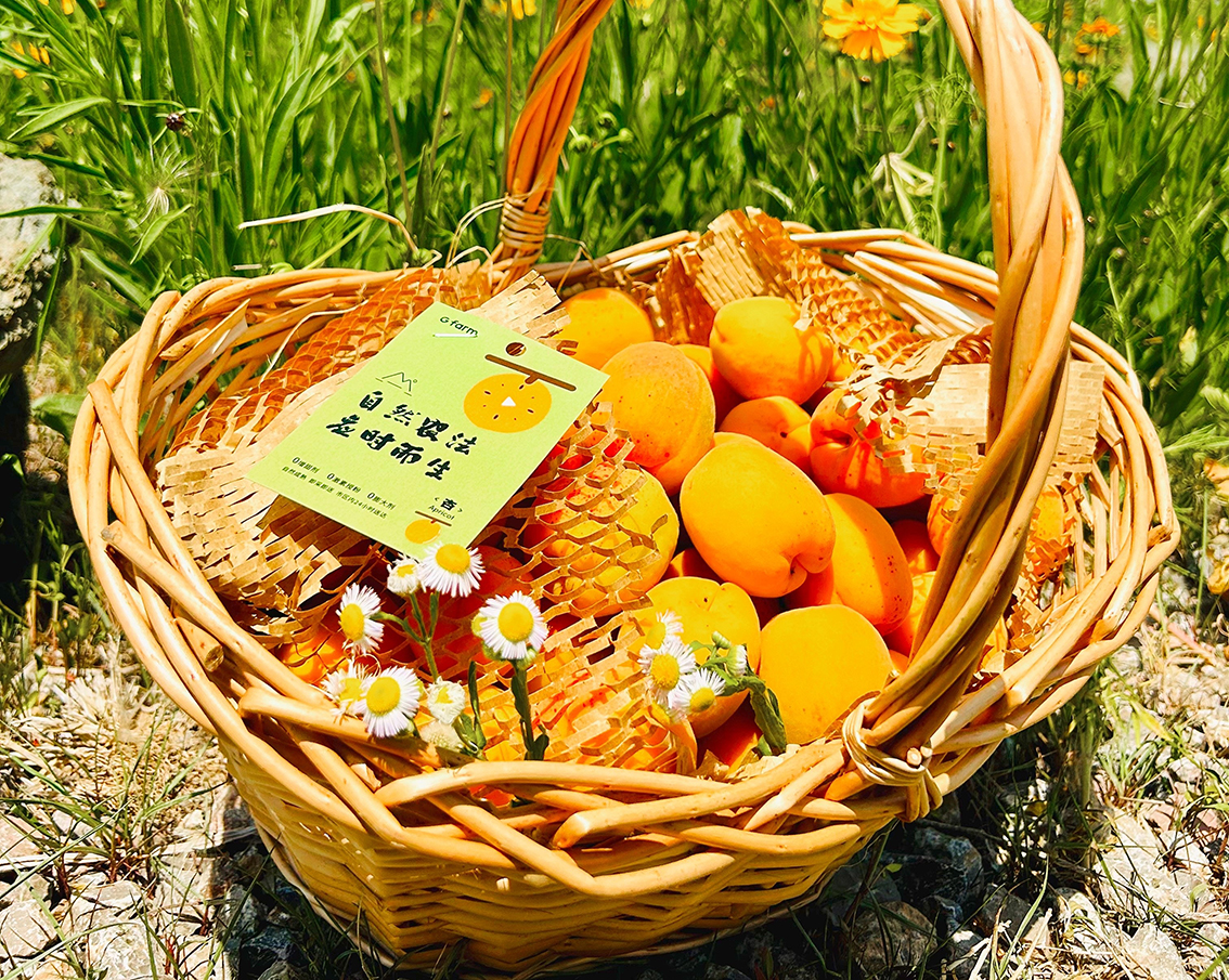 918������(�й���)�콢��